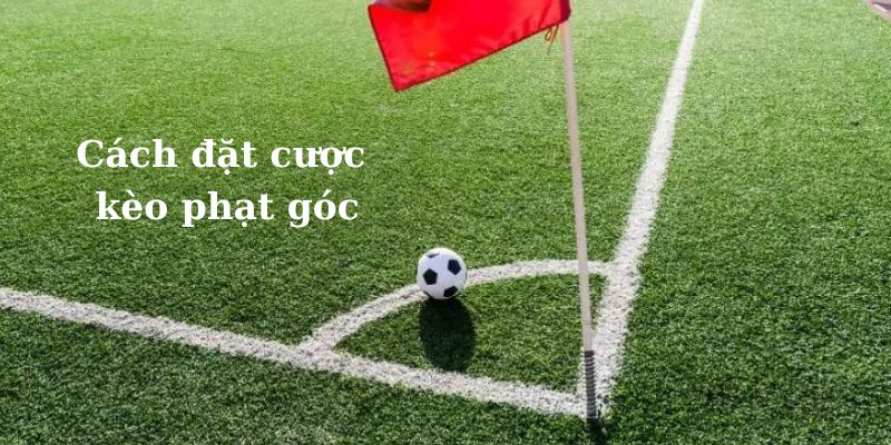 Các bước đặt cược kèo phạt góc tại 789WIN