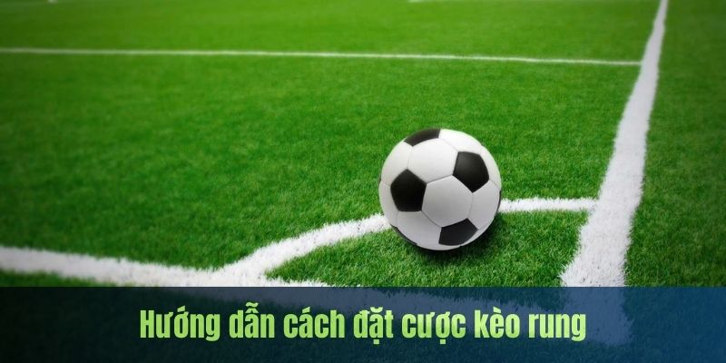 Hướng dẫn cược trên nền tảng của 789win